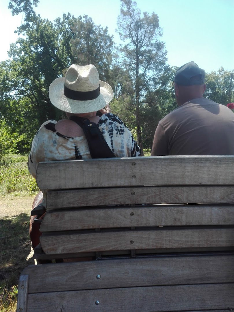 Ifj. Kalmár és Társa Bt.