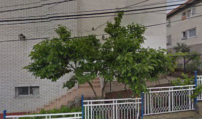 IŠPP SLOBODA IZBORA