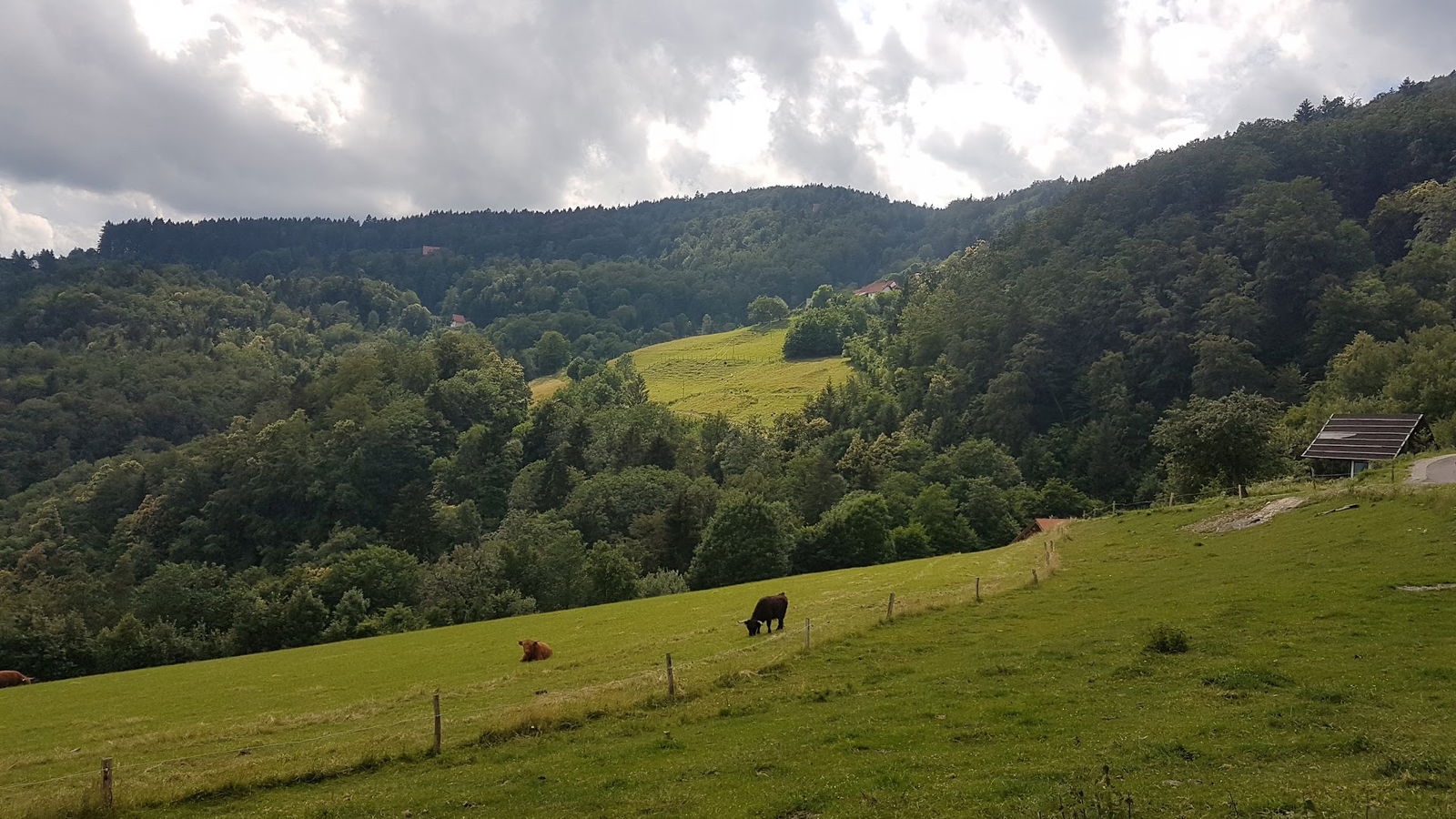 Tourist farm Grašič - Gradišnik