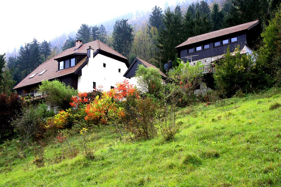 Country Apartma Šefic