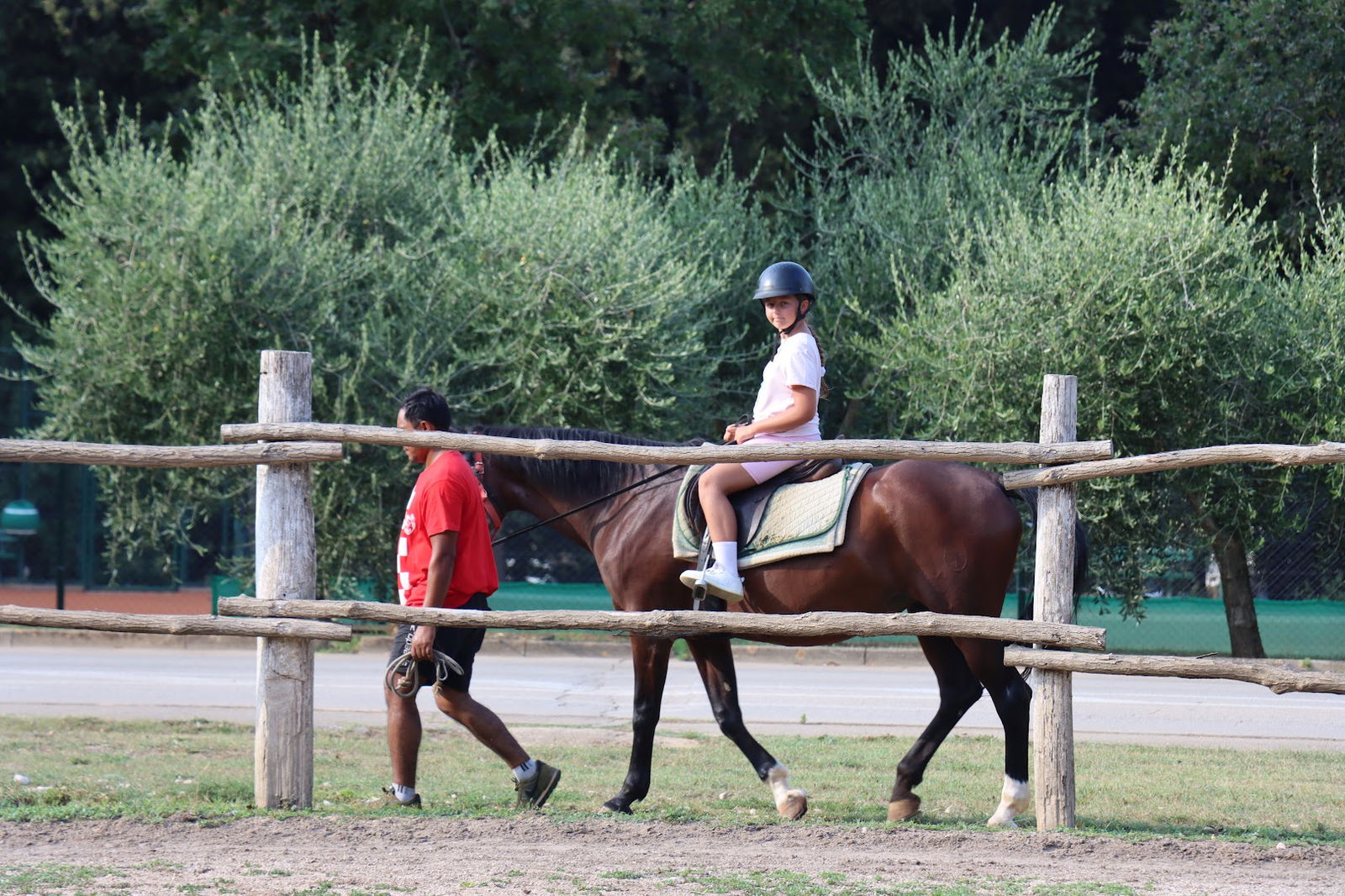 Horse Centar Lanterna