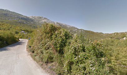 KOTLENICE VUJEVIĆI 1