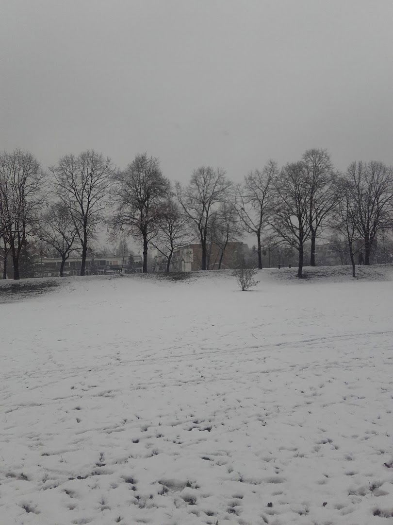 Gandijeva 4 - Basketball Court