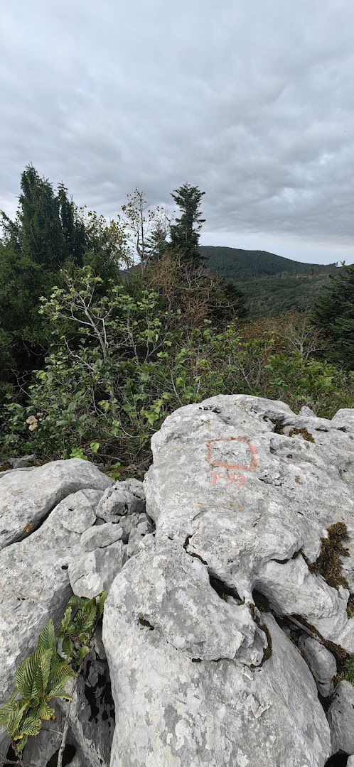 Sjeverni vrh Kolovratskih stijena