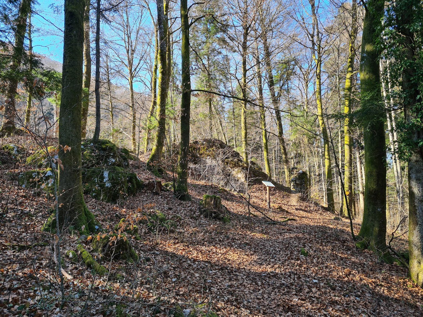 Rožek Castle