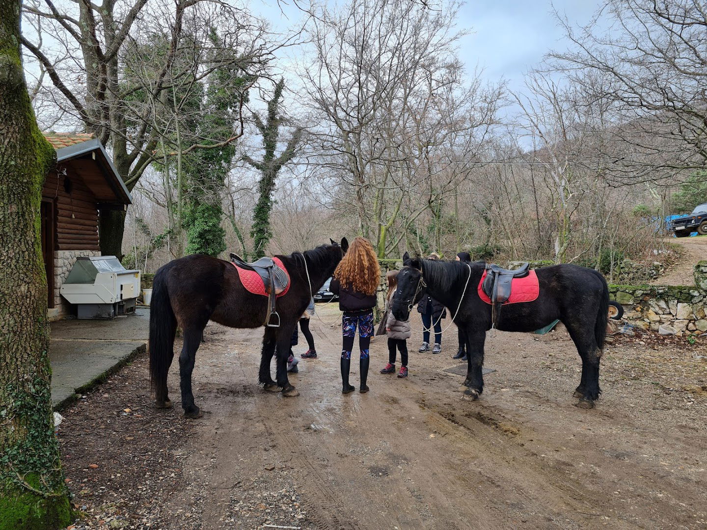 Rekreativno Jahanje Galop