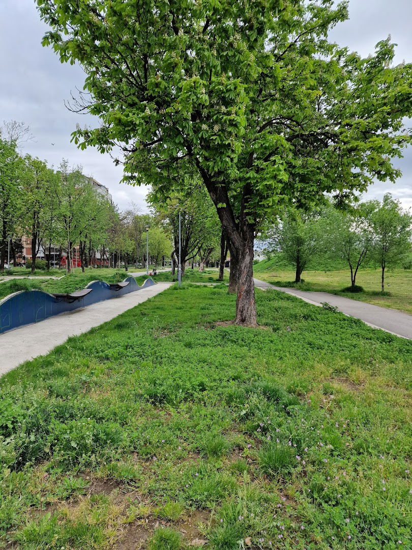 Lazaro Kardenasa Trail