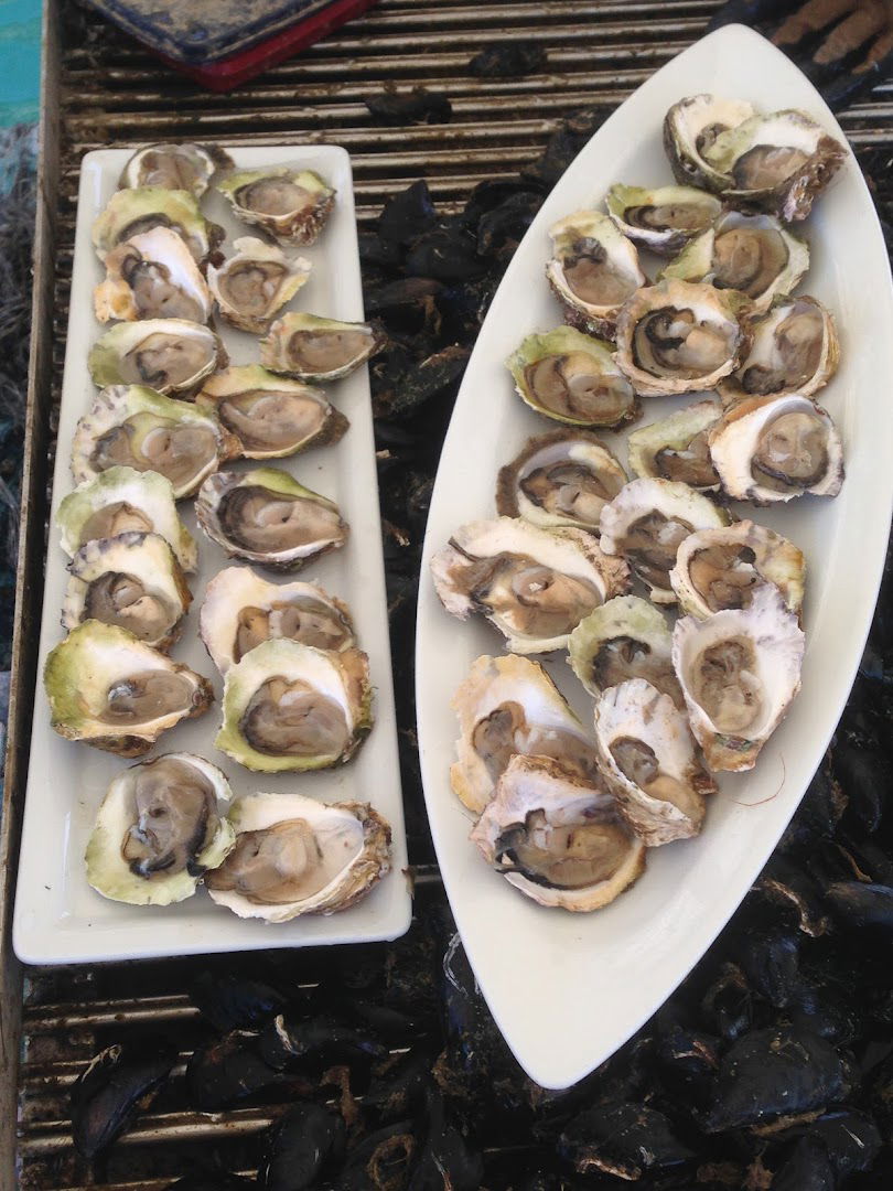 Mussel & Oysters Skradin