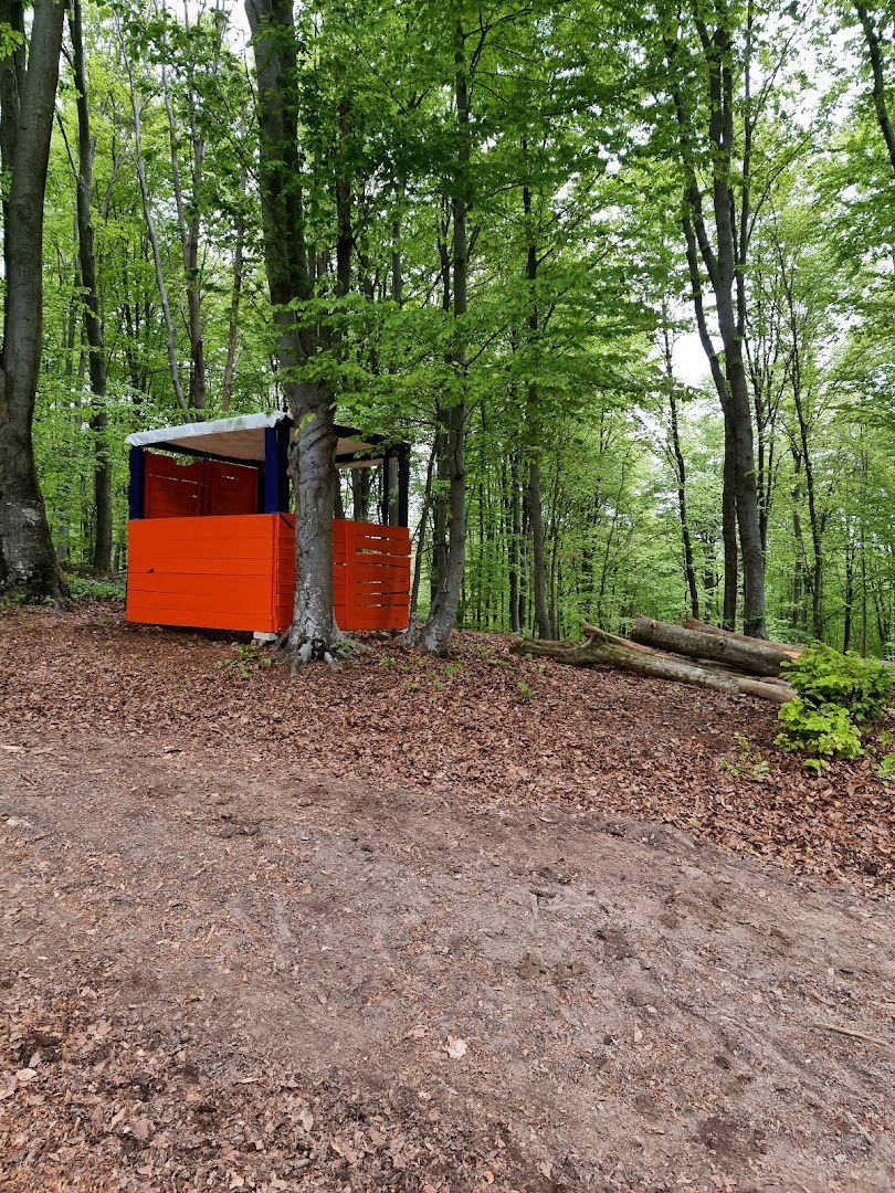 WRC Jaškovo FAN PIT