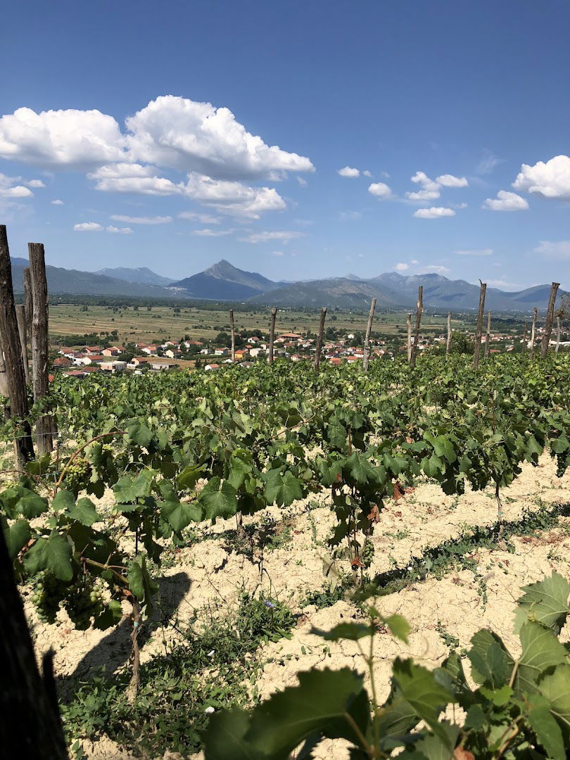 Škegro Family Winery