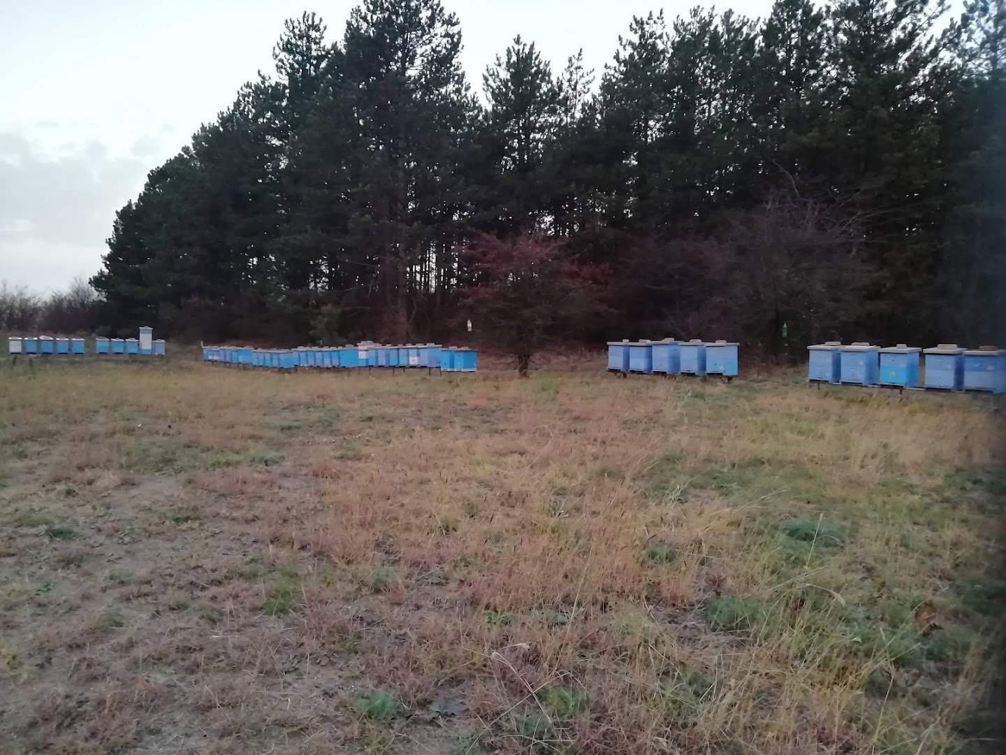 Pčelarsko gazdinstvo Jovanović