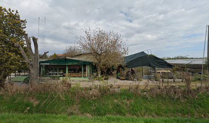 GARDEN CENTER di Sciannameo Carlo