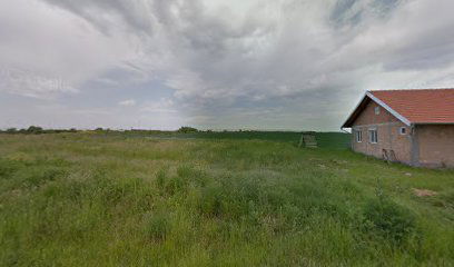 Selidbe Sekulić Beograd