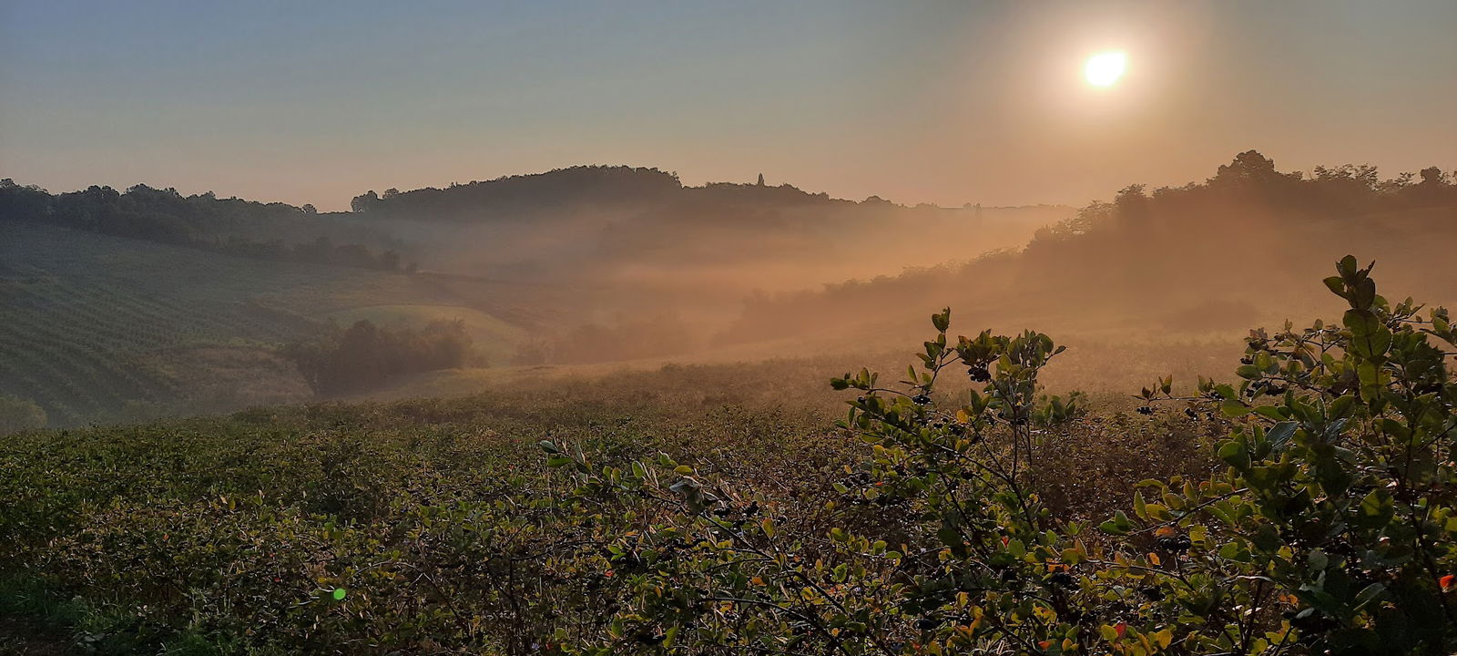 Zdrava distribucija d.o.o.