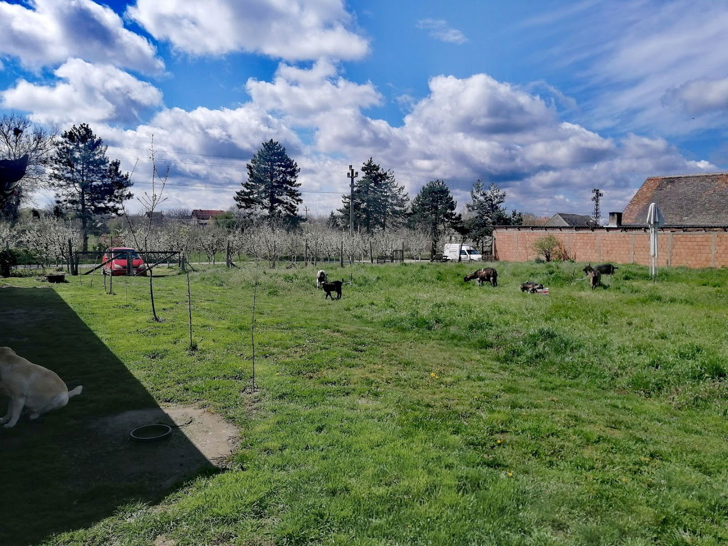 Домаћинство Бокун