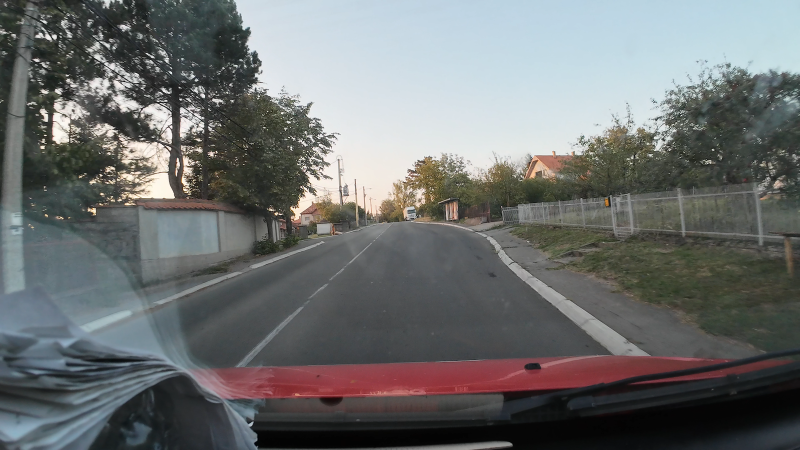 Svetosavska (Beli Labud)