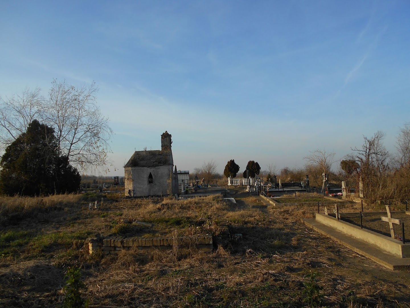 Alibunar Cemetery