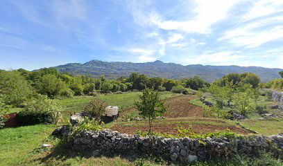 KOTLENICE VLADOVIĆI 1