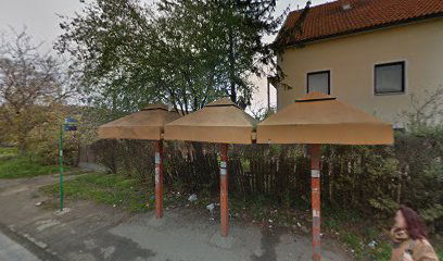 Бранка Радичевића