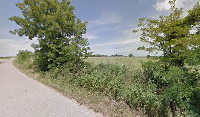 Čedomira Nikolića - Gajina