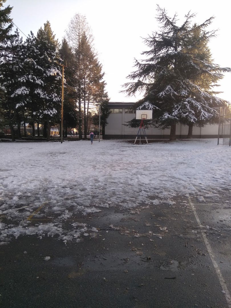 Primary School Vladimir Rolović