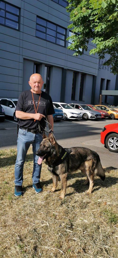 DETEKTIVSKA AGENCIJA OkO