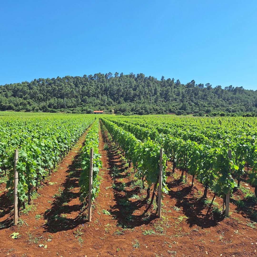 Dračevica Pod Korita