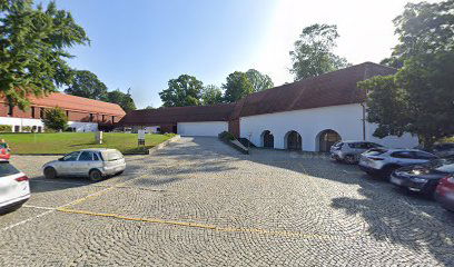 Avtomatski defibrilator (AED)