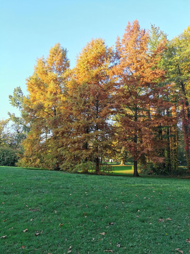 Parking Maksimir - Prilesje