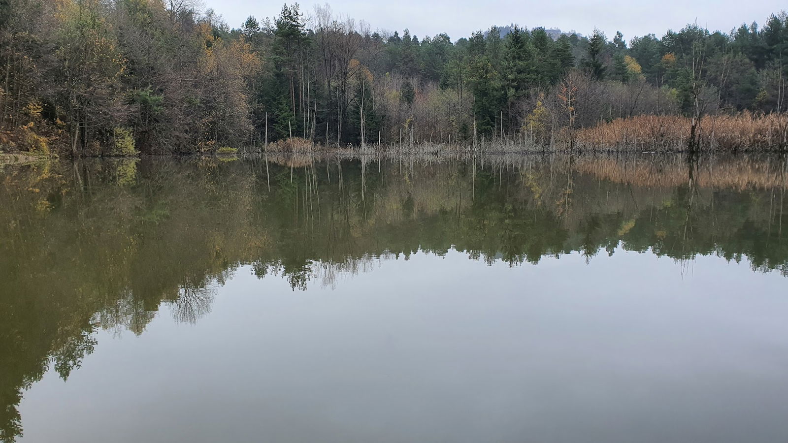 Ribnik Stražišče (Ceglovnica)