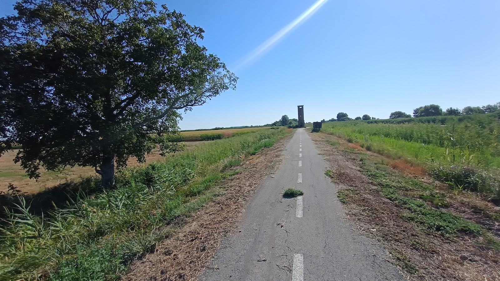 Három diófa a zsilipnél