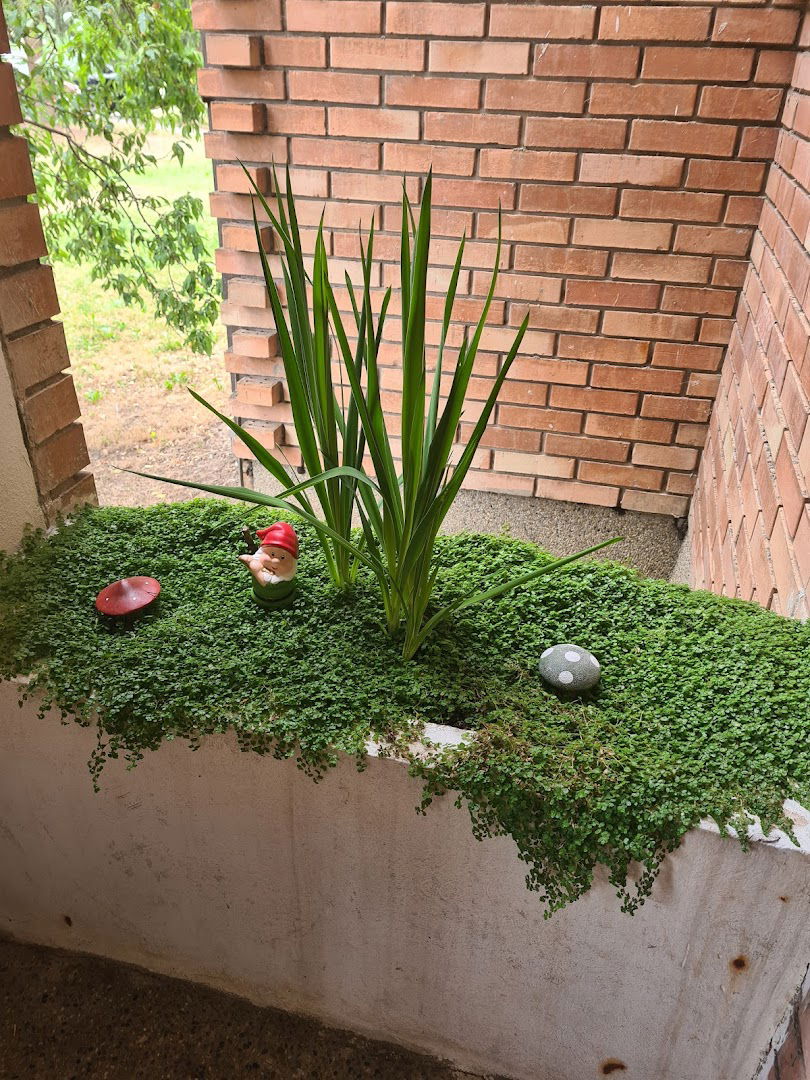 Studio apartman Ždral