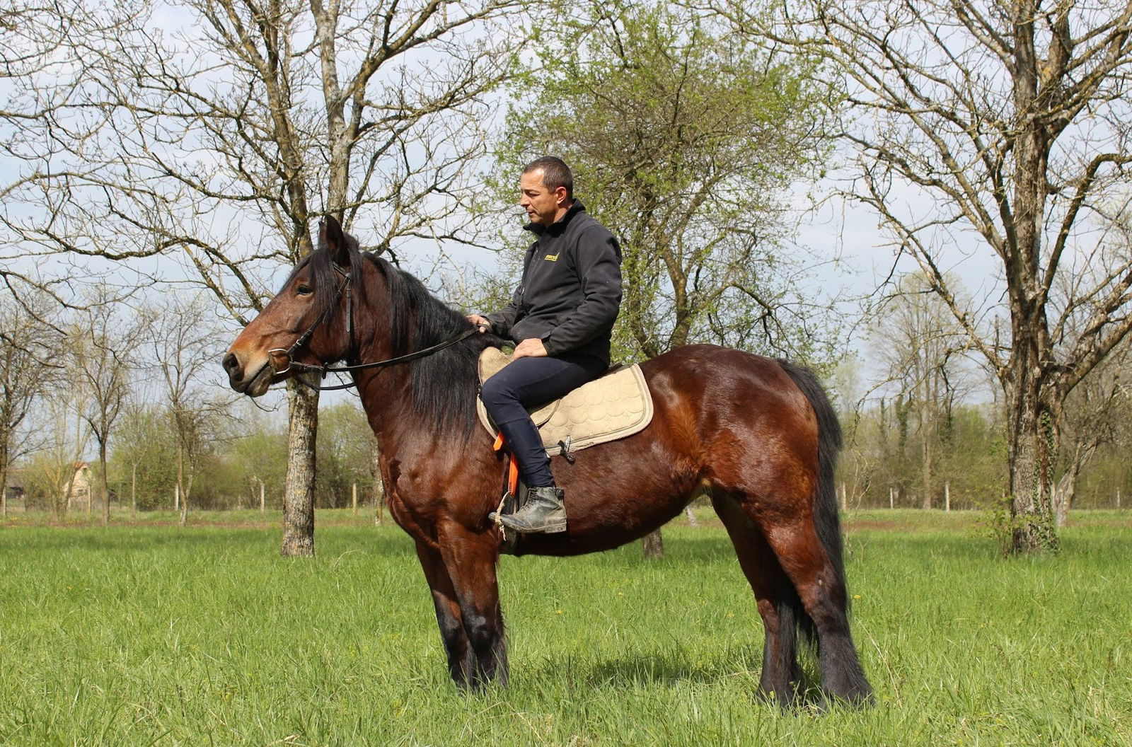 Konjički centar Miklin d.o.o.