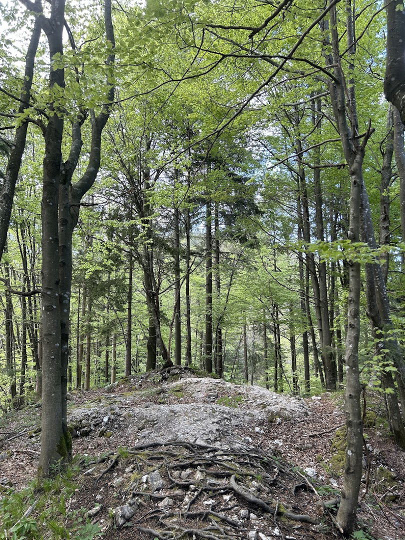 Ostanki rimskega zidu