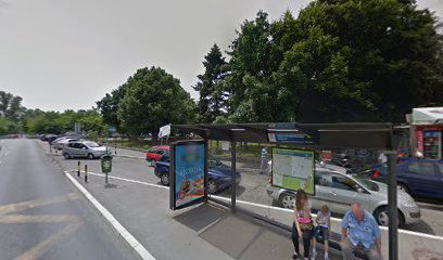 Dedinje /Ortopedska bolnica/