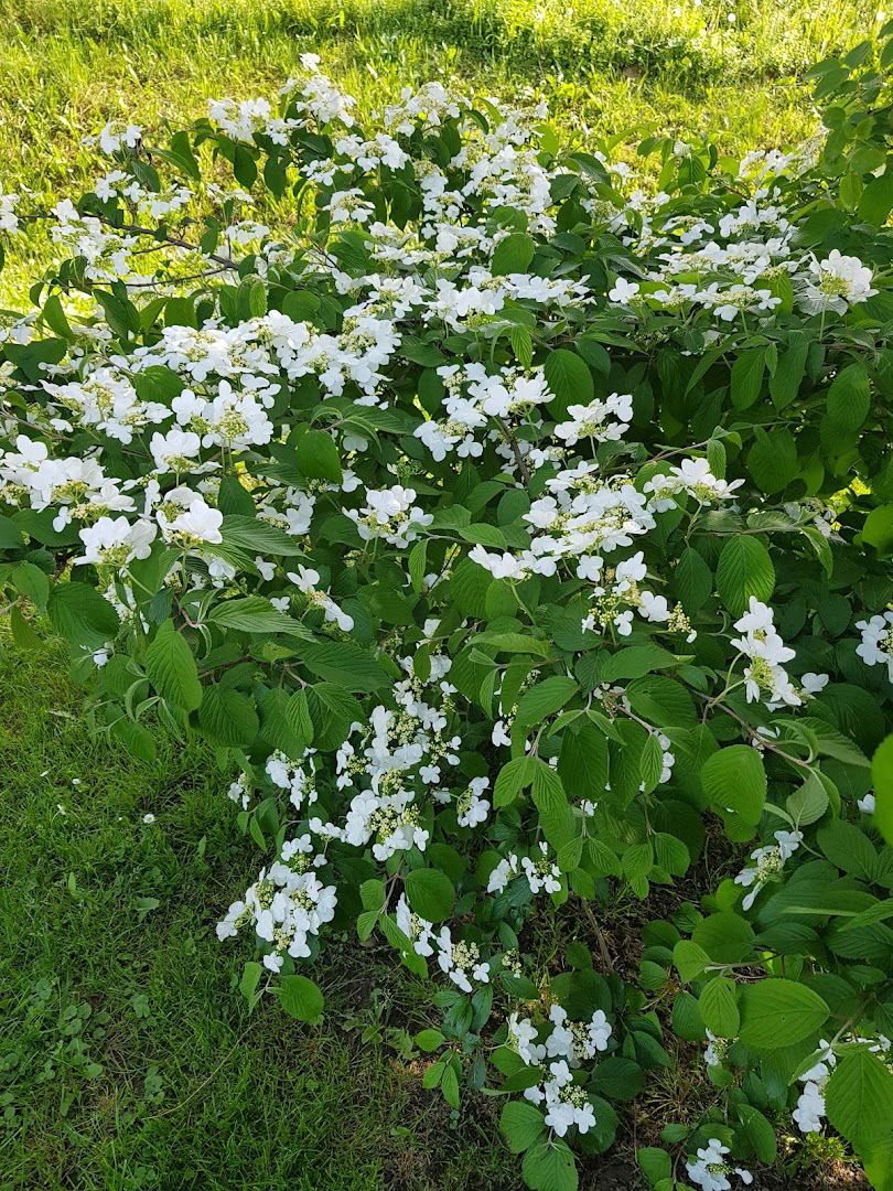 Edith, posredništvo in Šiviljske storitve, Edita Lindner, s.p.