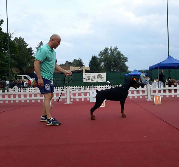 Extreme Edition Kennel