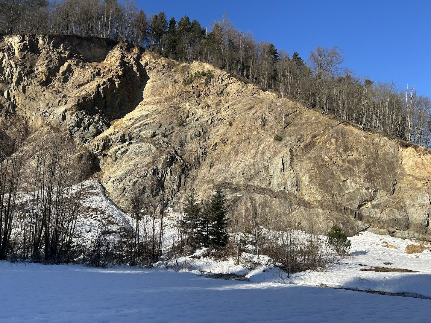 Geolokalitet Trešnjevica