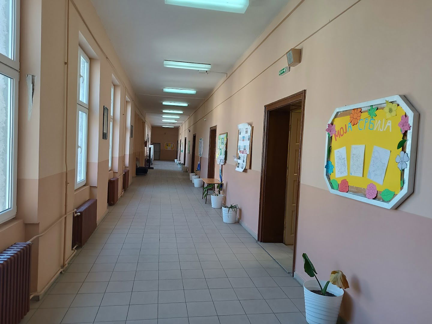 Primary School Sava Kovačević