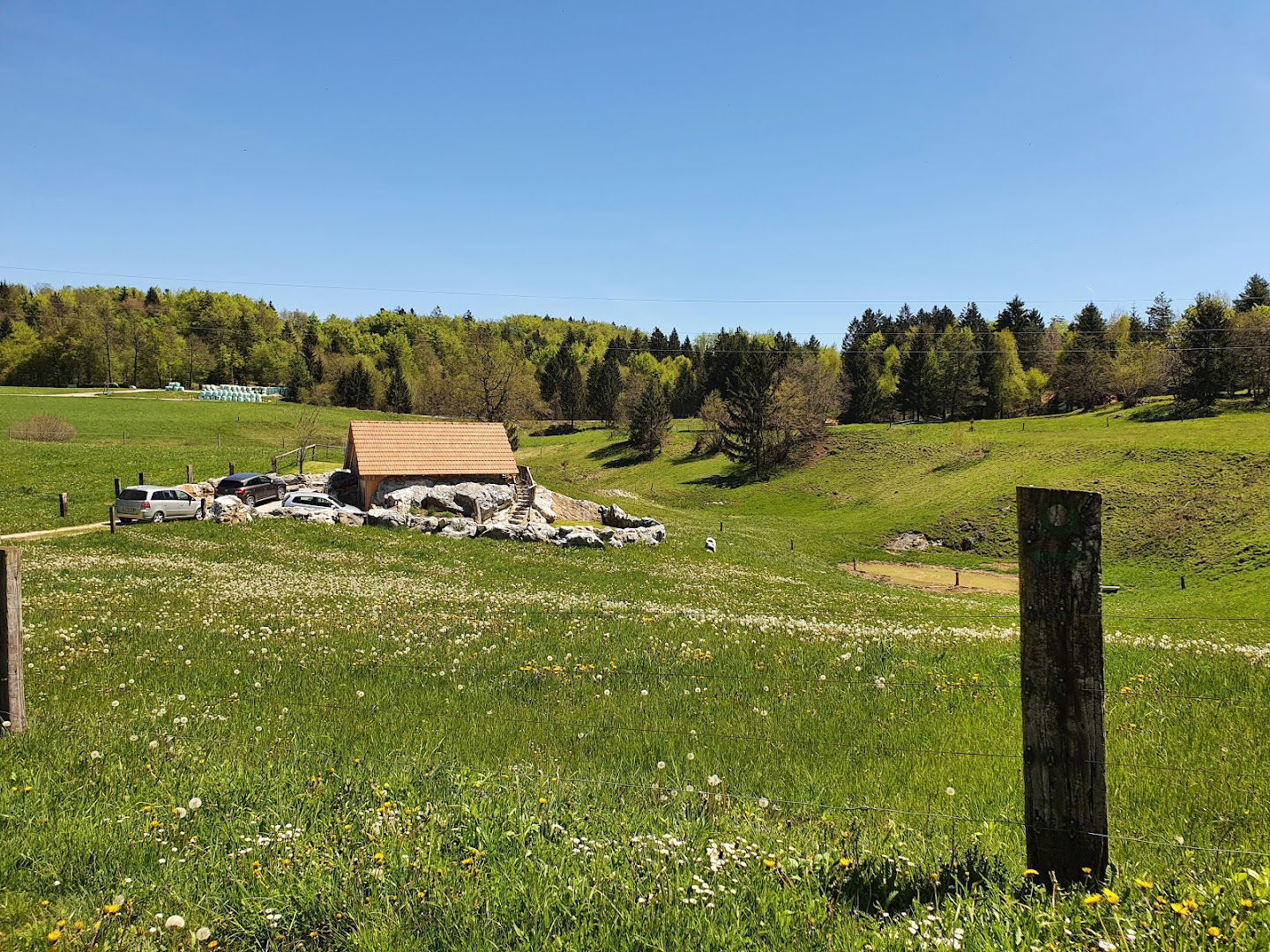 Prevozi, trgovina Ana Čož s.p.