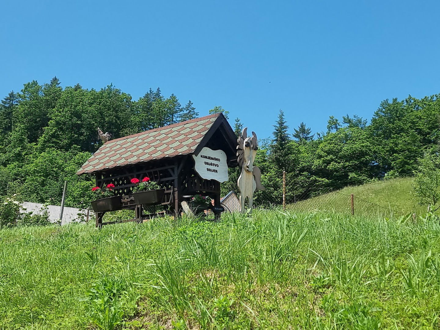 Konjeniško društvo Brijer