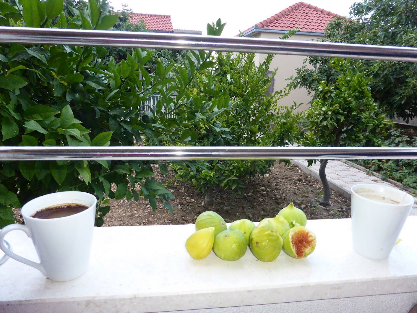 Apartment Fila i Jure