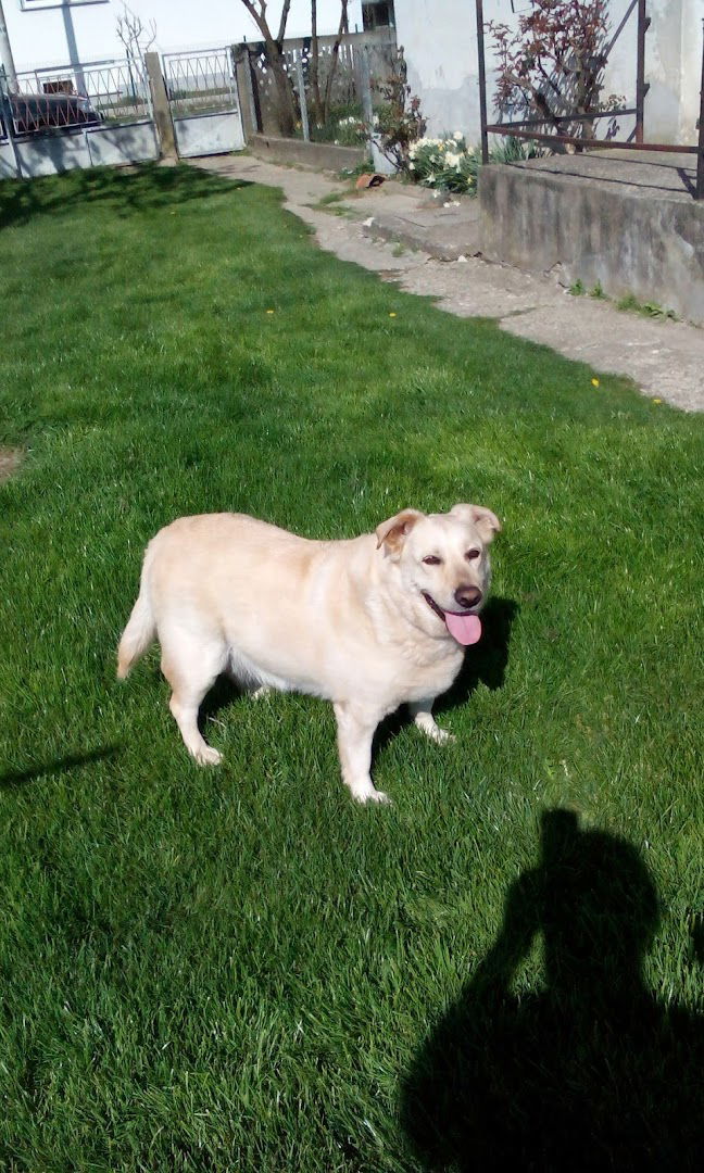 NK Omladinac Mačkovec