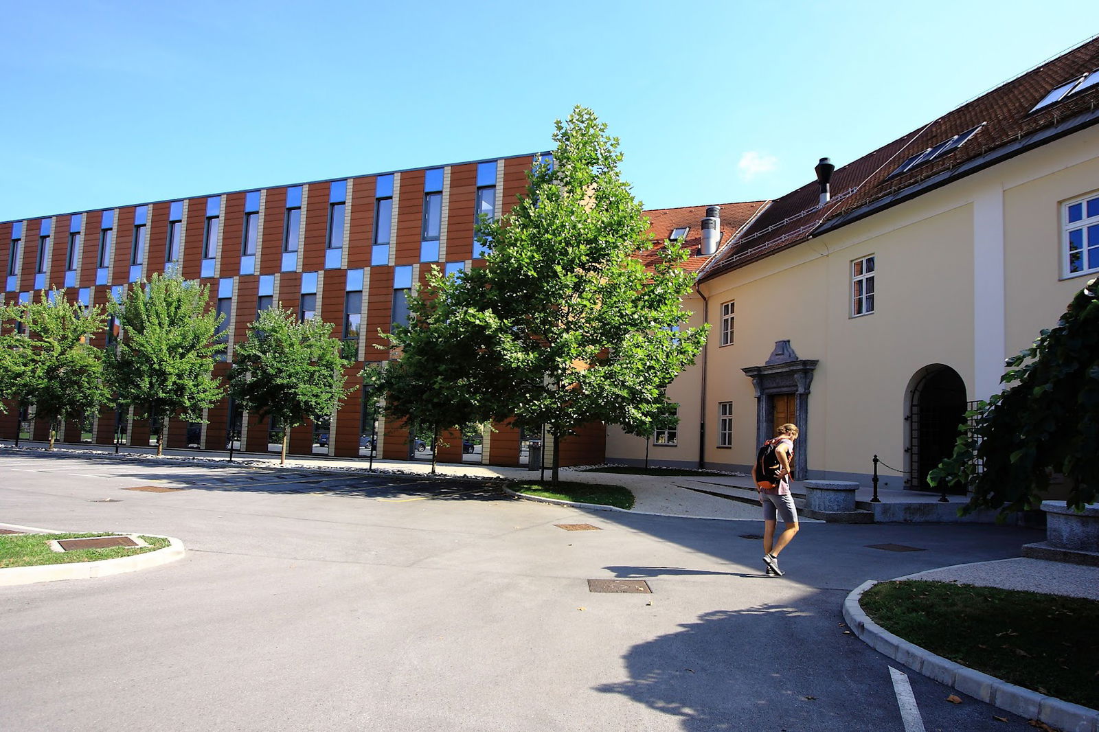 Faculty of Medicine