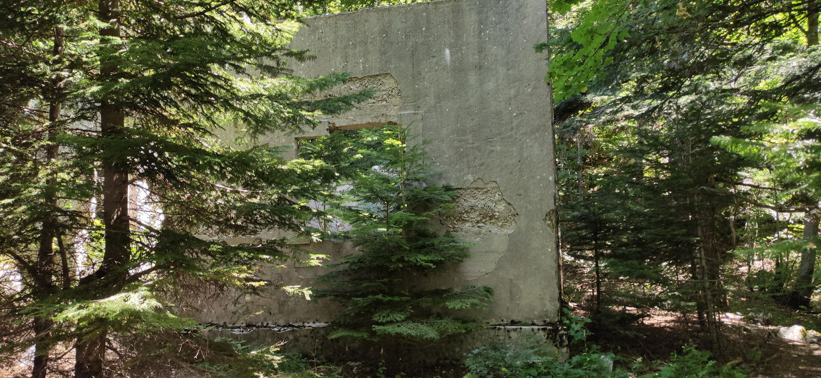 Stara planinarska kuća