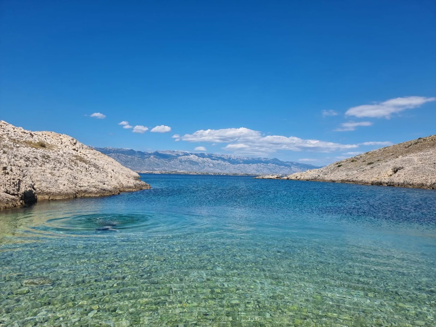 Old Fabrik Laguna Beach