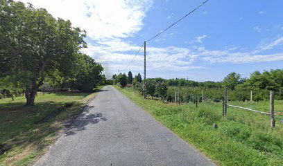 Somogybükkösd, szőlőhegy