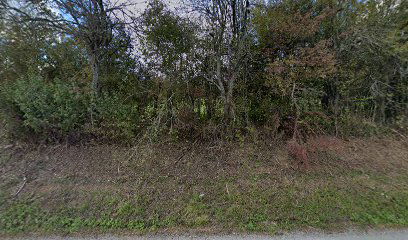 Kraljevčani cemetery