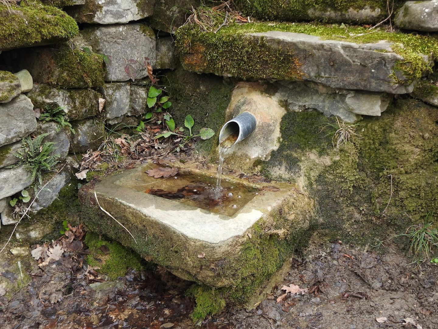 Sorgente di Bottazzo