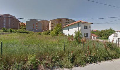 Veliki mokri lug (ulaz)